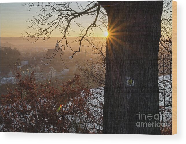 Sunset Wood Print featuring the photograph Golden evening light 2 by Adriana Mueller