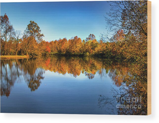 Autumn Wood Print featuring the photograph Golden Hour at Autumn Lake by Shelia Hunt