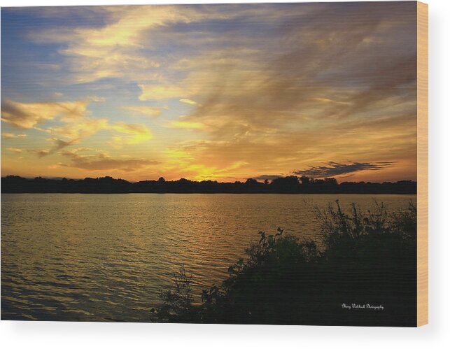 Sunset Wood Print featuring the photograph Golden Sunset by Mary Walchuck