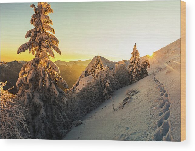Balkan Mountains Wood Print featuring the photograph Golden Winter by Evgeni Dinev