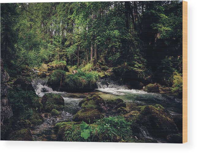 Path Wood Print featuring the photograph Gollinger Wasserfalls by Vaclav Sonnek