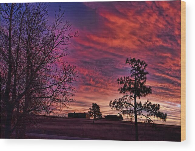 Sky Wood Print featuring the photograph Good Morning Jack and Diane by Alana Thrower