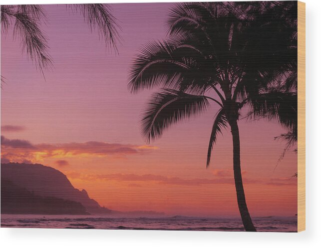 Kauai Wood Print featuring the photograph Goodnight Palm by Tony Spencer