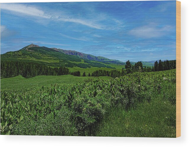 Cloud Wood Print featuring the photograph Crested Butte Colorado, Gothic Mountain by Tom Potter