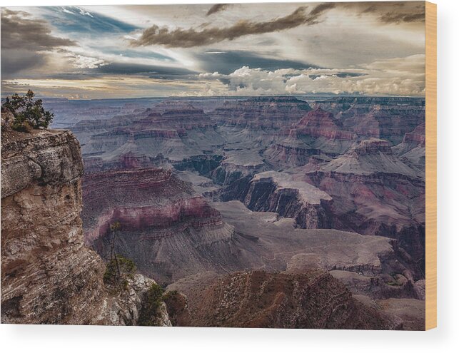 Photo Wood Print featuring the photograph Grand Canyon Beauty by John A Rodriguez