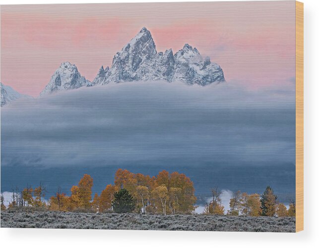 Grand Tetons Wood Print featuring the photograph Grand Teton Color by Wesley Aston