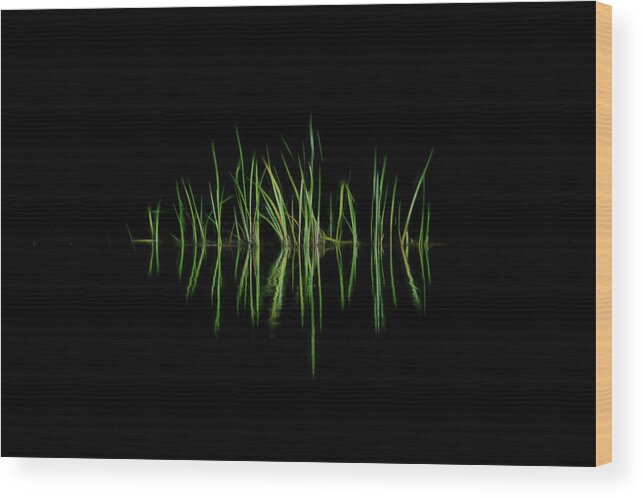 Grass Wood Print featuring the photograph Grass along the rivers edge simple design by Dan Friend