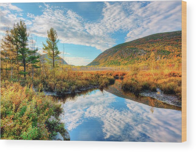 Acadia National Park Wood Print featuring the photograph Great Meadows 6636 by Greg Hartford