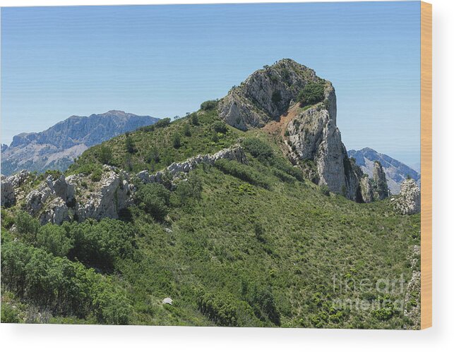 Mountains Wood Print featuring the photograph Green expanse and ascent to the crest by Adriana Mueller