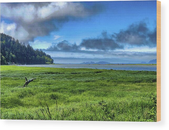 Landscape Wood Print featuring the digital art Green Reed Sea by Chriss Pagani