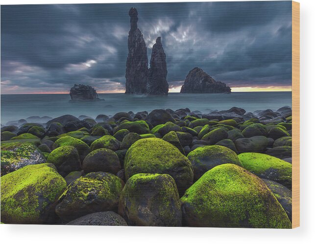 Abstract Wood Print featuring the photograph Green Stones by Evgeni Dinev