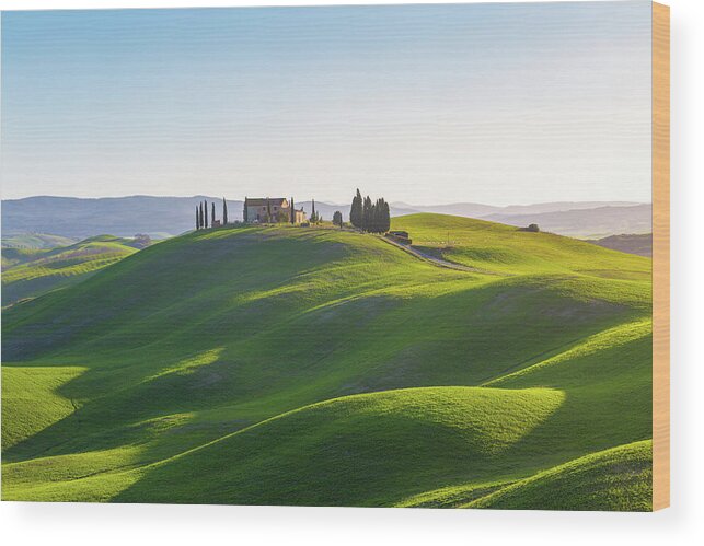  Wood Print featuring the photograph Green Tuscany by Francesco Riccardo Iacomino