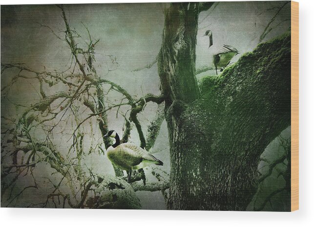 Geese Wood Print featuring the photograph Guardians by Sally Bauer