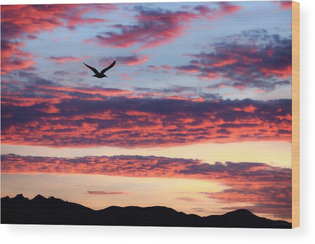 California Wood Print featuring the photograph Gull in Flight at Sunrise by John A Rodriguez