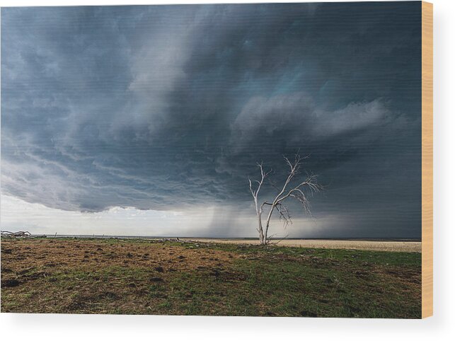 Thunderstorm Wood Print featuring the photograph Hail on the Horizon by Marcus Hustedde