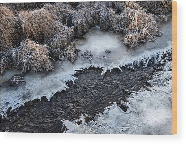 Ice Wood Print featuring the photograph Half Frozen Creek by Karen Rispin