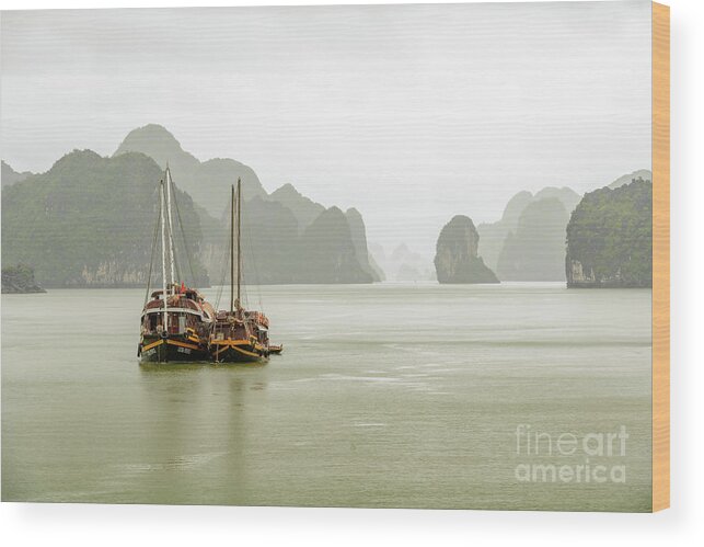 Landscape Wood Print featuring the photograph Halong Bay Vista 01 by Werner Padarin