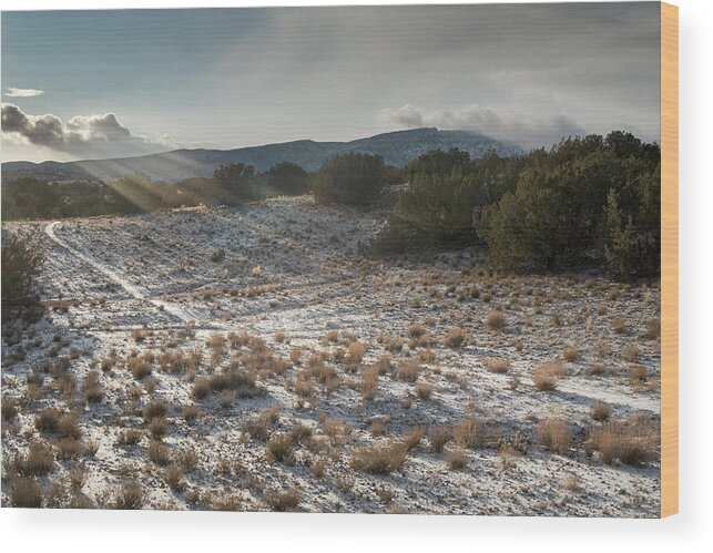 Landscapes Wood Print featuring the photograph Happy Sun Rays by Mary Lee Dereske