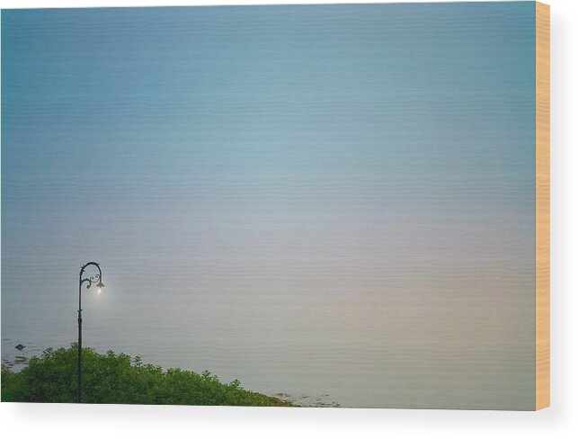 Light Wood Print featuring the photograph Harbor Lights by John Manno
