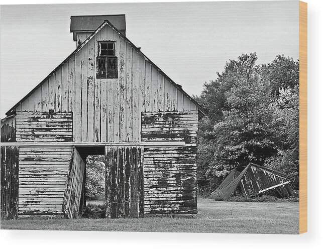 Barn Wood Print featuring the photograph Hard Times by Brian Kerls