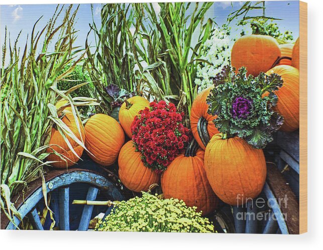 Mums Wood Print featuring the photograph Harvest Bounty by Kevin Fortier