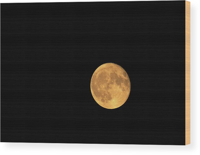 Moon Wood Print featuring the photograph Harvest Moon Rising October 2020 by Sharon Talson