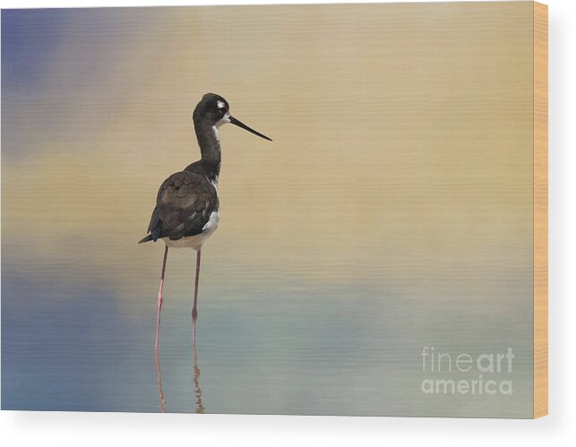 Hawaiian Stilt Wood Print featuring the photograph Hawaiian Stilt 2 by Eva Lechner