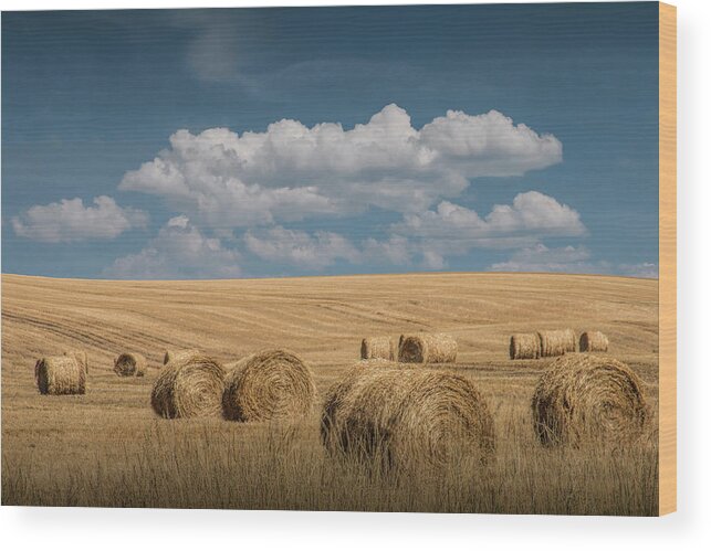 Art Wood Print featuring the photograph Hay Bales of Straw during Summer in a Harvest Field by Randall Nyhof