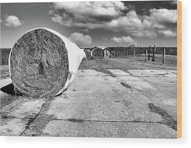 Hay Wood Print featuring the photograph Hay Rolls on Farm Black and White by Paul Giglia