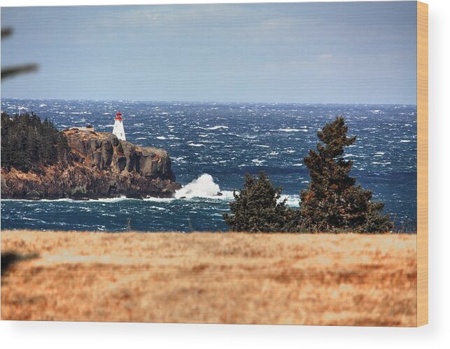 Boars Head Lighthouse The Bay Of Fundy Storm Gale Sea Ocean Waves Rocks Windy Waves Rough Petit Passage Ferry Wood Print featuring the photograph Head Land by David Matthews