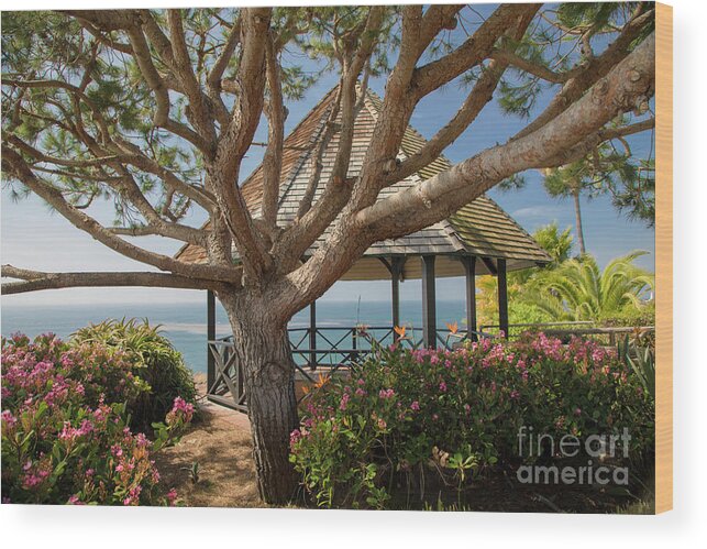 Kasia Wood Print featuring the photograph Heaven in a Gazebo by Kasia Bitner