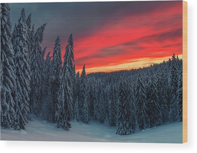 Bulgaria Wood Print featuring the photograph Heavens In Flames by Evgeni Dinev