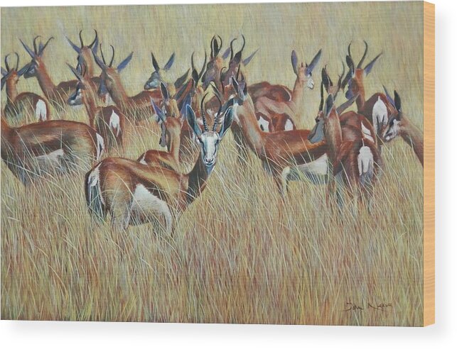 Springbok Wood Print featuring the painting Herd of Springbok by John Neeve
