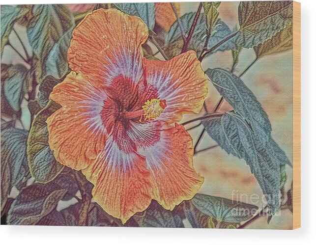 Hibiscus Wood Print featuring the photograph Hibiscus in Florida by Deborah Benoit
