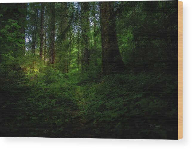 Fall Wood Print featuring the photograph Hidden Path by Bill Posner