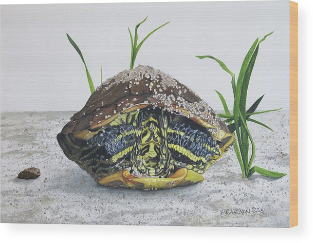 Turtle Wood Print featuring the painting Hiding In by Heather E Harman