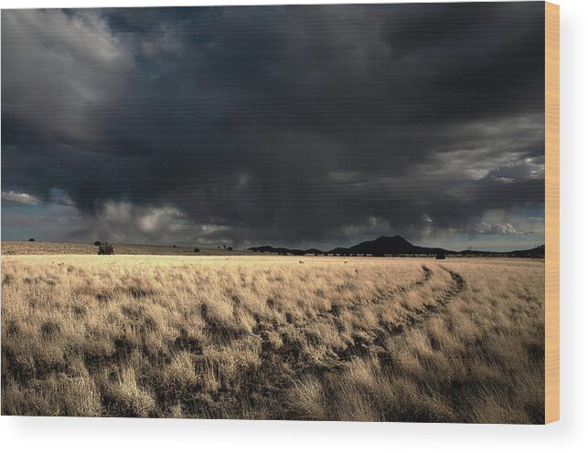 High Desert Wood Print featuring the photograph High Desert Two Track by Mark Gomez