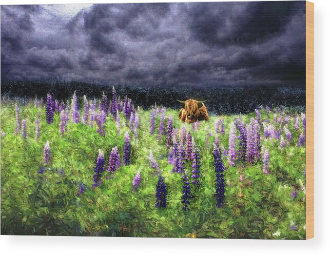 Highlander Wood Print featuring the photograph Highland Storm #1 Dreams of the Storm by Wayne King