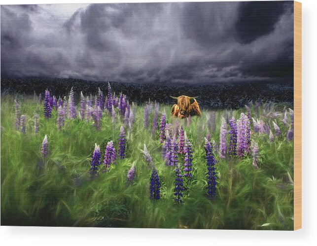 Highlander Wood Print featuring the photograph HighlandStorm #4 Glow in the Lupine by Wayne King