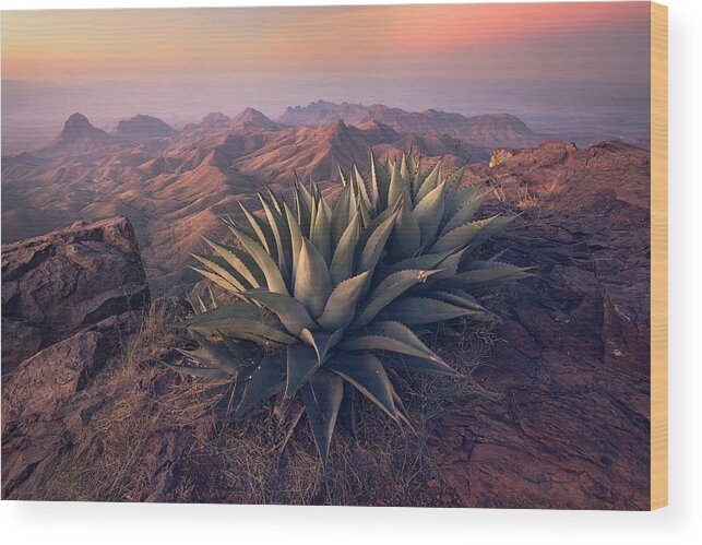 Chisos Mountains Wood Print featuring the photograph Highly Placed by Slow Fuse Photography