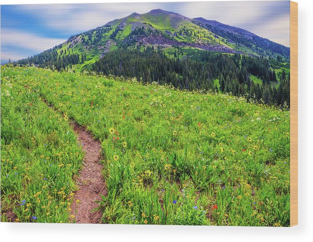 Crested Butte Wood Print featuring the photograph Hiking in the High Country by Lynn Bauer