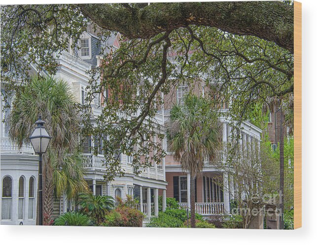 Downtown Wood Print featuring the photograph Historic Charleston Charm and Grace by Dale Powell