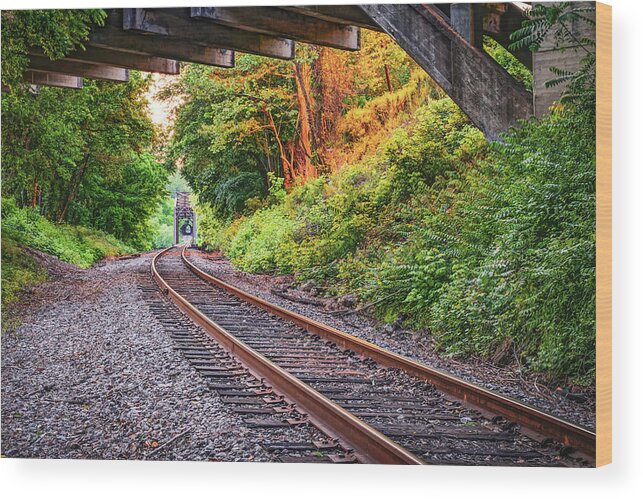 Cotter Tunnel Wood Print featuring the photograph Historic Cotter Arkansas Railroad Tunnel by Gregory Ballos
