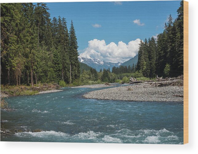 Forest Wood Print featuring the photograph Hoh River Rapids by Robert Potts