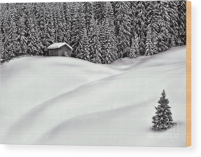 Home Warm Togetherness Together Separation Snow Snowdrifts Waves Beauty Beautiful Delightful Protected Hut House Heaven Single Lonely Serenity One Two Fir Tree Forest Forestry Winter Cold Freezing Cool Christmas New Year Greeting Card Celebration Vocation Still Abandoned Isolated B&w Black White Mono Painterly Pastel Delicate Subtle Gentle Atmospheric Aesthetic Artistic Art Interactions Thoughtful Landscape Poetic Romantic Magic Cabin Little Minimalism Solitude Stylish Evocative Impressionism Wood Print featuring the photograph Home Warm Home by Tatiana Bogracheva