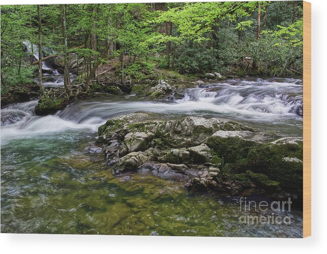 Honey Cove Falls Wood Print featuring the photograph Honey Cove Falls 6 by Phil Perkins