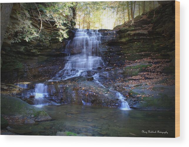Nature Wood Print featuring the photograph Honey Run Falls by Mary Walchuck