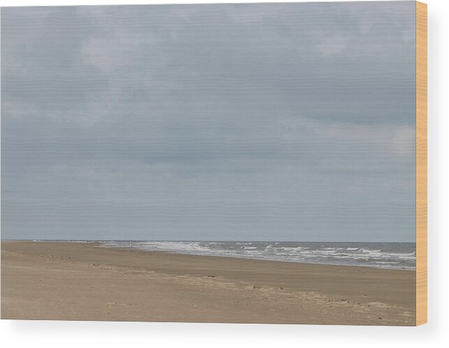 100-400mmlmk2 Wood Print featuring the photograph Horizons by Wendy Cooper
