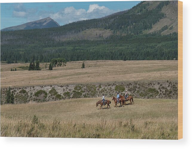 Horse Wood Print featuring the photograph Horses In The Mountains by Karen Rispin