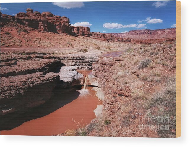 Utah Wood Print featuring the photograph Hot Chocolate by Jim Garrison